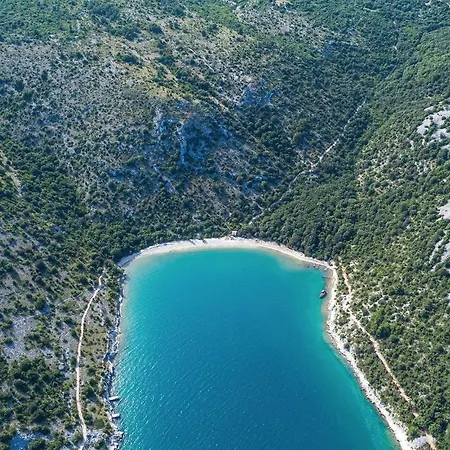 Xii דירה קרניצה