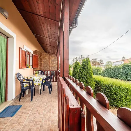 Apartment Pet Friendly In With Kitchen